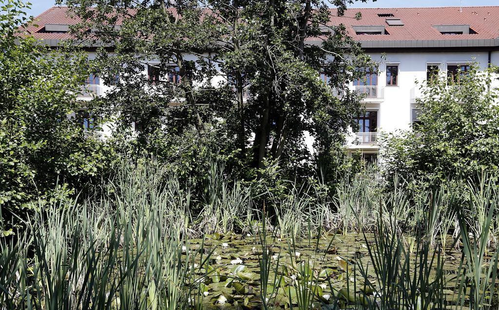 Tagungs- Und Bildungszentrum Steinbach/Taunus شتاينباخ أم تاونوس المظهر الخارجي الصورة